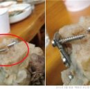 찬연농장 네이버블로그