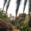 남원읍-3 | 제주 12월 1월 동백꽃 개화시기 동백수목원 남원읍 겨울여행지