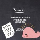 코튼마켓 이미지