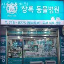 상록 동물병원 이미지