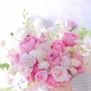 프리모음악학원 이미지