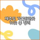 성산사거리~월평마을입구 | 제주도 가볼만한곳 10곳 총 정리