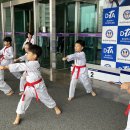 신화정 태권도 이미지