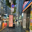이구아나92 | 부산 서면 파충류샵 “티그리스게코 부산점” 방문 후기 🦎