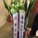 스트릿샵