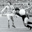 차범근 카카오 검색결과