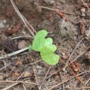 호텔리베라 거제 이미지