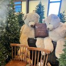 분당-91 | 분당 아기랑 카페 광주 베이커리카페 제주베어하우스