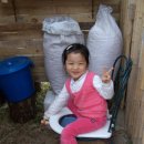 화장농장 이미지