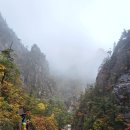 골세골 | 등야명산 설악산(1708m) 산행후기