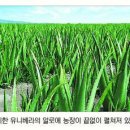 유니베라동남