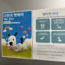 pet09다0604 | 더현대 펫페어 성수 EQL 후기 WE PET 강아지