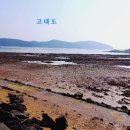 장고도3 이미지