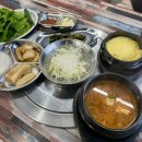 사브로소인제주 이미지