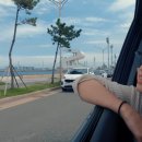 포항운하송림시장 이미지