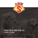 양산 동물 메디컬센터 이미지