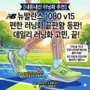 뉴러닝 | [좐's 러닝잡담] - 뉴발란스 1080 v15 구매기 &amp; 솔직 후기