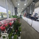 문지리 | 수목원 느낌의 대형 브런치 카페 파주 문지리535 방문 후기