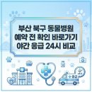 Dr.윤24시동물병원 | 부산 북구 동물병원 예약 전 확인 바로가기 | 야간 응급 24시 비교