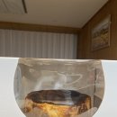 고디레 | 의식의 흐름대로 쓰는 고디레 방문후기