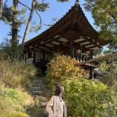 ICHEON16 | 이천 숙소 추천 테르메덴 근처 독채 라드라비 리조트 내돈내산