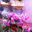 청천농장 이미지