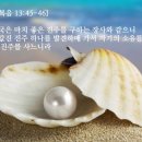 진주