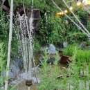 반구정장어수산 이미지