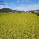 용두3리 마을회관 이미지