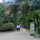 연화 | 창경궁 물빛연화 관람 후기 🏮(주차,꿀팁)