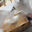 고기집순 | 춘천 우이락 퇴계점 내돈내산 쿠팡이츠 이틀연속 주문한 고추튀김 솔직후기 (자른거 vs 통째 비교)