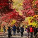 구례지리산리조트 이미지