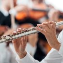 플루트 1:1 개인레슨 이미지