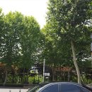 석촌갈비 이미지