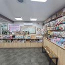 시현펫살롱 이미지