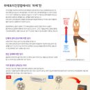 헤이펙스 이미지