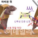 바오메디칼 이미지