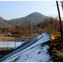월산1리 Daum카페