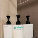 트윈굿즈 | 제주도 애견동반 호텔 서귀포 반려견 동반 호텔 추천 헤이 서귀포 펫 패밀리 트윈룸 후기