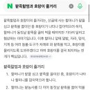 플롯의 형식 이미지