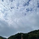 청학동 | 지리산 청학동 삼성궁 다녀온 후기🧘