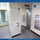 진성플러스 이미지