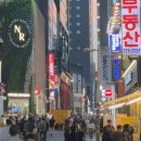 명동 티스토리