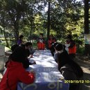 자연의 색 물들이기 이미지