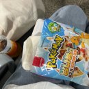 대마도 히타카츠 당일치기 준비과정부터 여행코스 기념품후기