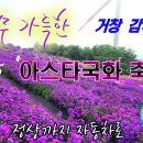 진승푸드 | 보랏빛 노을 속으로! 거창 감악산 '꽃&별 여행' 완벽 가이드 (ft. 30만 명이 찾는 가을 인생샷 성지)
