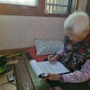 서귀포서비스 티스토리