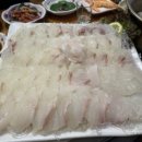 쭈꾸미랑바다친구들 이미지