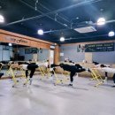 루시피트니스 이미지