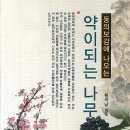 다림기획